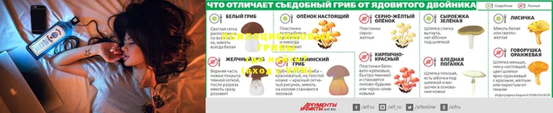 Псилоцибиновые грибы мухоморы  продажа наркотиков  гидра ссылки  Северск 